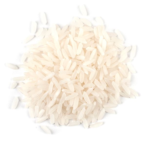 عمده فروشی برنج شمال