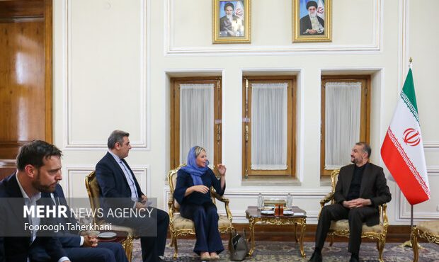 UNAMI envoy , FM Amir-Abdollahian discuss Iraq developments
