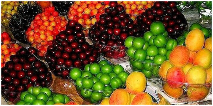 میوه ایرانی